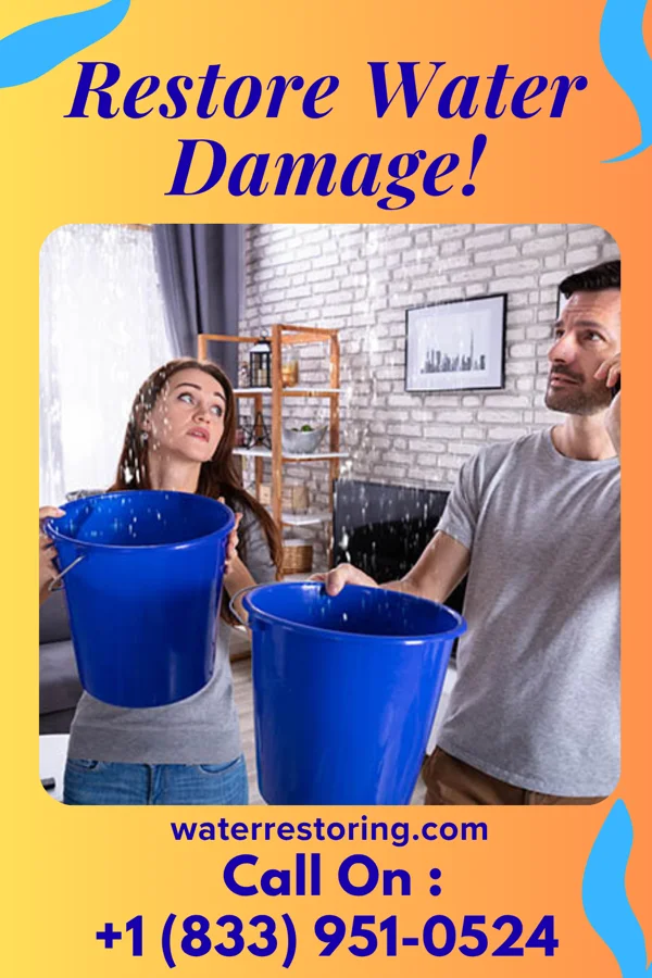 water restoration Citywide Water Solutions Force Cayuga