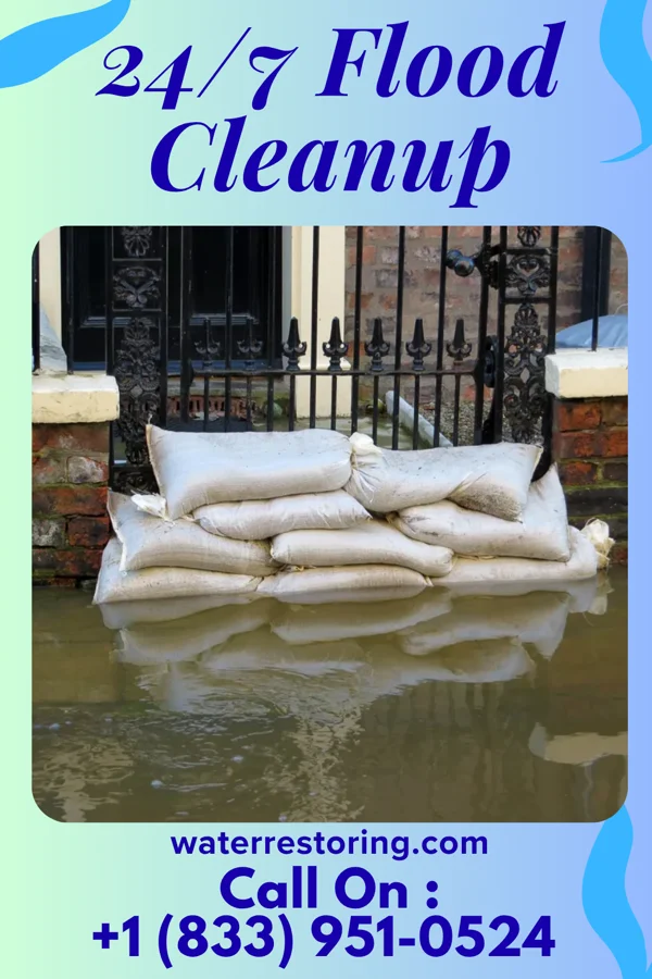 24/7 Flood Cleanup in Cayuga, NY