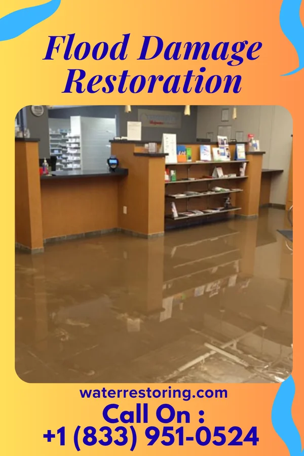 Flood Damage Restoration in Cayuga, NY