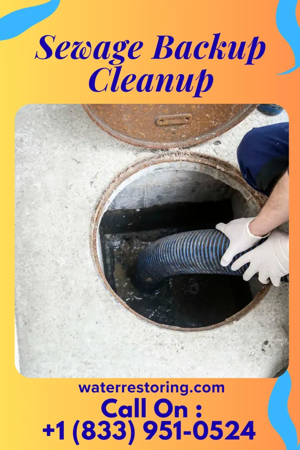 Sewage Backup Cleanup in Cayuga, NY