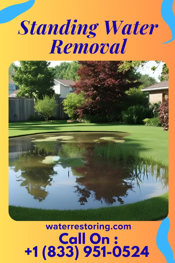 Standing Water Removal in Cayuga, NY